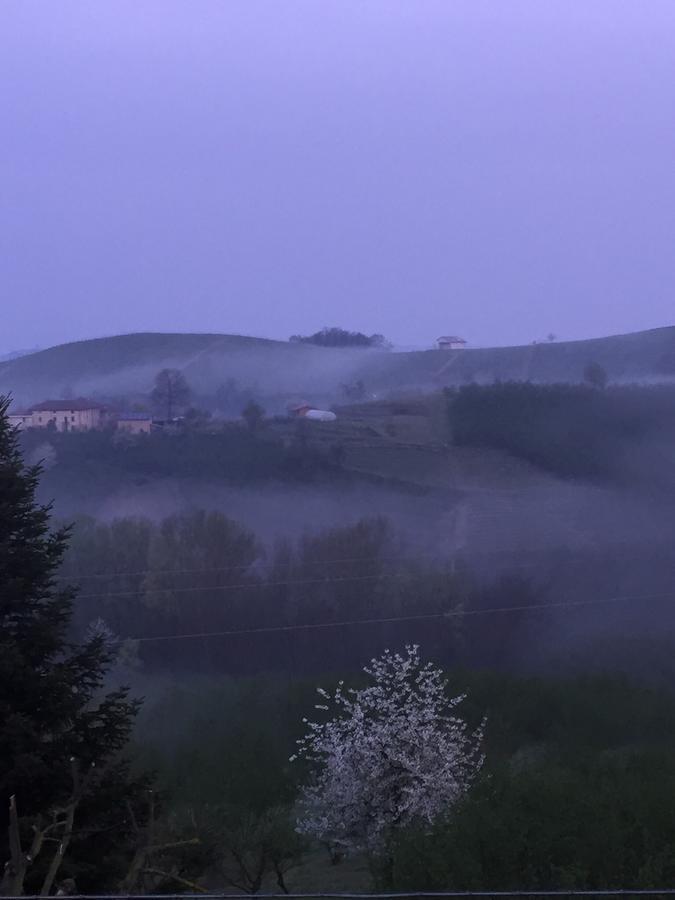 Cascina Baresane Panzió Alba Kültér fotó
