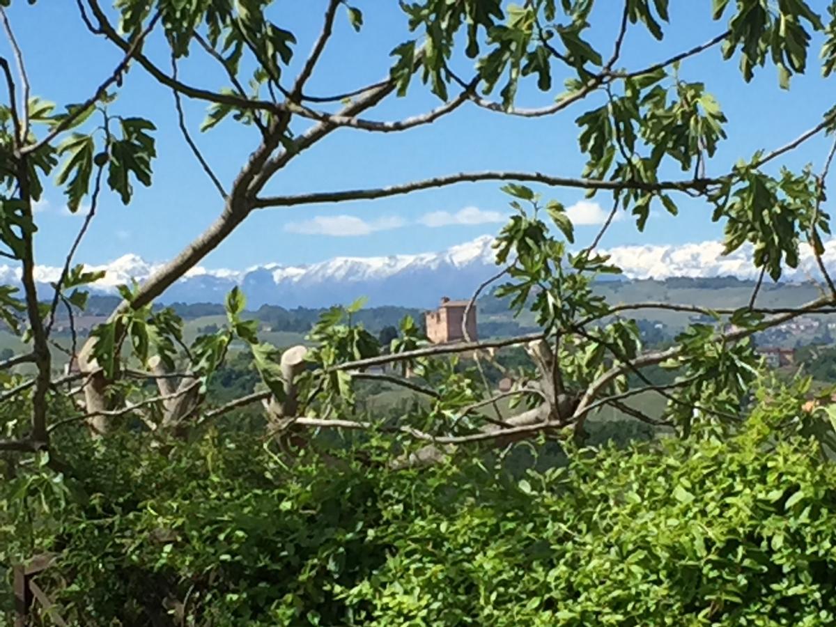 Cascina Baresane Panzió Alba Kültér fotó