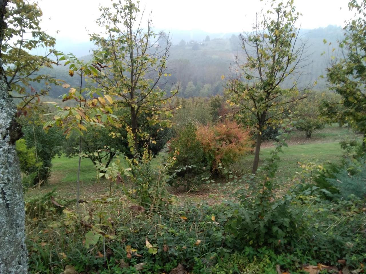 Cascina Baresane Panzió Alba Kültér fotó